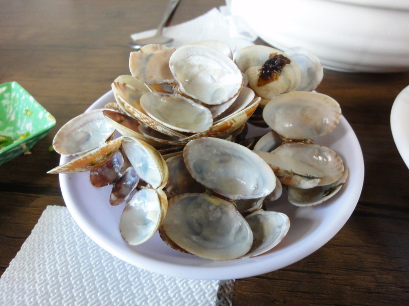 [DSC-WX1] 028.jpg
